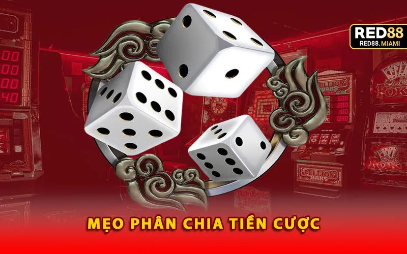 meo-phan-chia-tien-cuoc