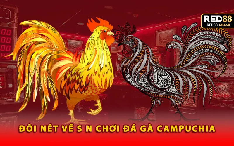 Đôi nét về sân chơi đá gà Campuchia